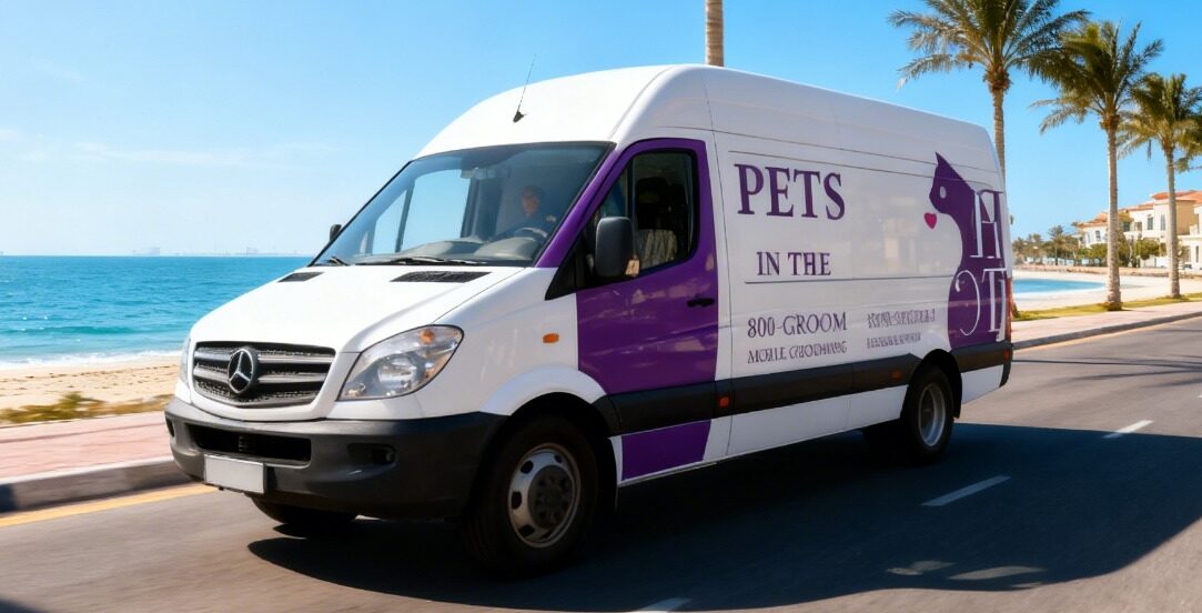 Vehicle branding company in Dubai wrapping a commercial van with full vinyl wrap - 6