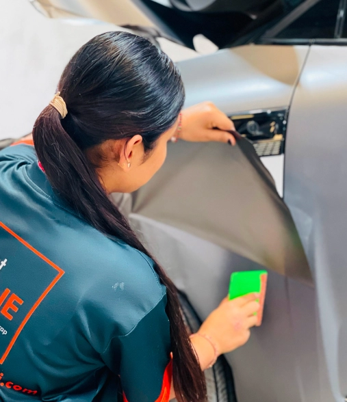 Professional Service