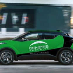 custom vehicle graphics